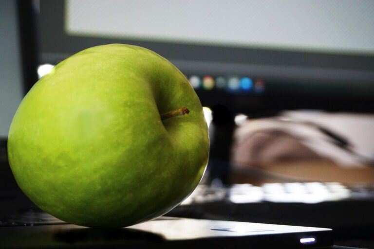 Wholesome Habits to Help Maintain Health and Wellness in the Workplace